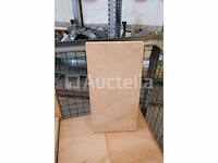 25 multiplexplaten - afbeelding 2 van  5