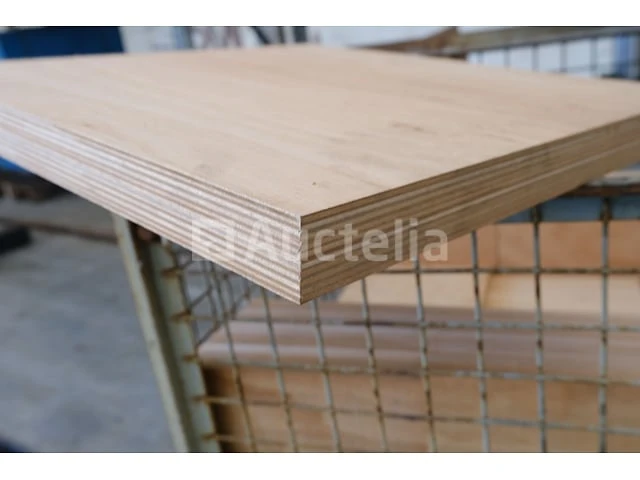 25 multiplexplaten - afbeelding 4 van  5