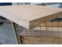 25 multiplexplaten - afbeelding 4 van  5