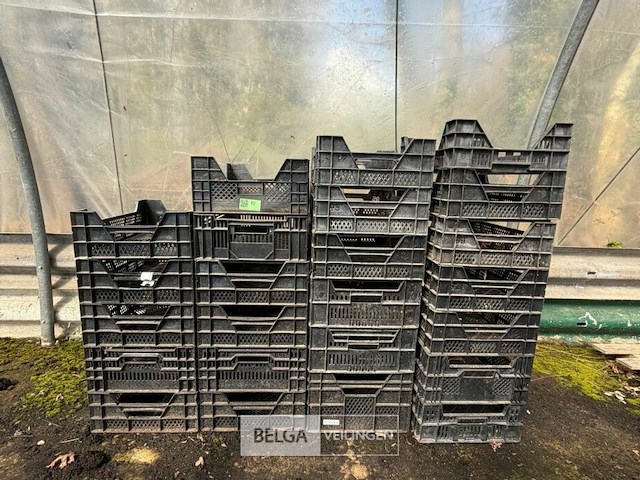 ± 25 plastieken bakken - afbeelding 1 van  1