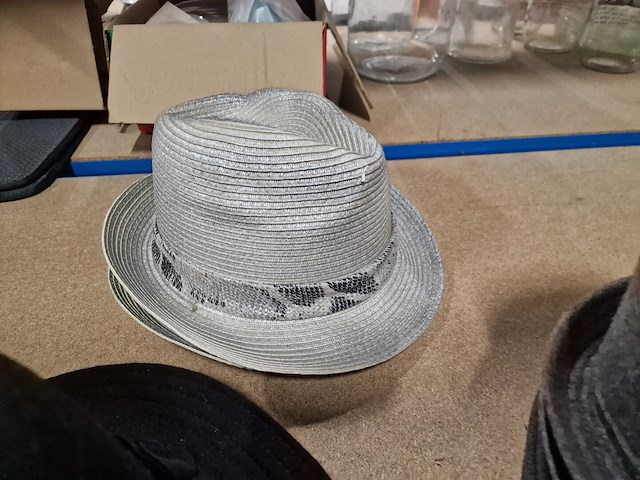 25-tal hoeden en petten - afbeelding 5 van  8