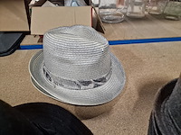 25-tal hoeden en petten - afbeelding 5 van  8