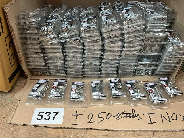 250 blisters inox bevestigingen - afbeelding 3 van  9