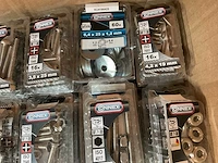 250 blisters inox bevestigingen - afbeelding 4 van  9