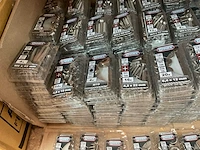 250 blisters inox bevestigingen - afbeelding 6 van  9