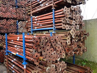 250x stansoen - afbeelding 3 van  4