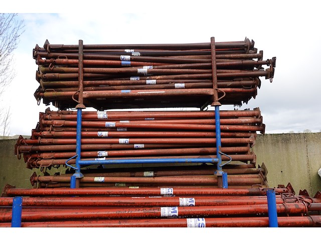 250x stansoen - afbeelding 4 van  4