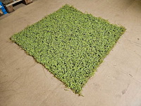 25m² greenwall silkka (nieuw) - afbeelding 1 van  5