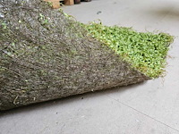 25m² greenwall silkka (nieuw) - afbeelding 3 van  5