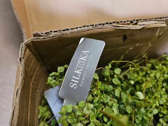 25m² greenwall silkka (nieuw) - afbeelding 4 van  5