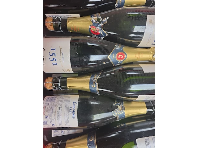 (25x) fles(sen) cava codorniu 1551 herencia 75 - afbeelding 6 van  6