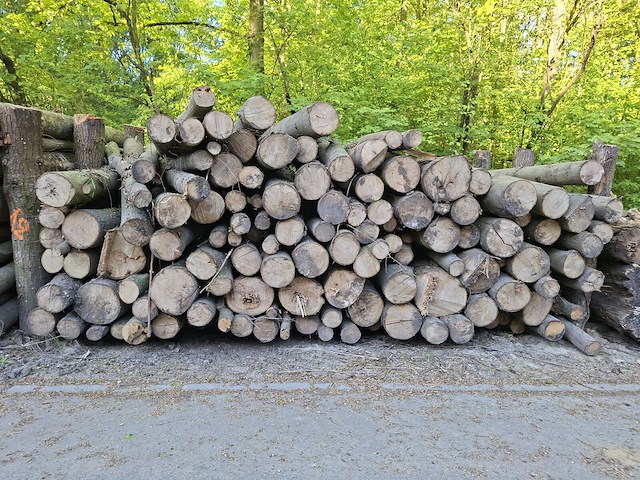 25x stère - afbeelding 1 van  1