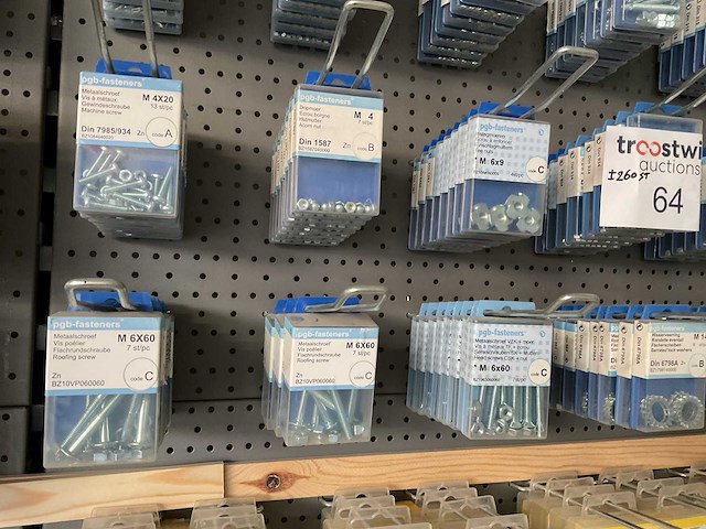 260 blisters bouten en moeren - afbeelding 2 van  9