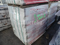 2600 bricks wienerberger plaza - afbeelding 2 van  10