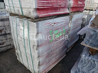 2600 bricks wienerberger plaza - afbeelding 7 van  10