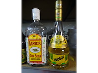 27 flessen (wijnen, sterke dranken: volle of geopende flessen - zie detail) - afbeelding 6 van  14