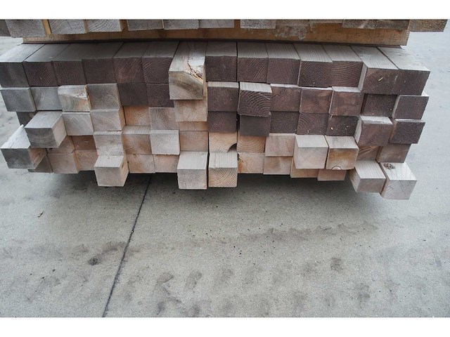 273 lm dennen kepers - afbeelding 3 van  4