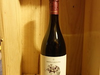 27x 75cl santa carolina pinot noir 2020