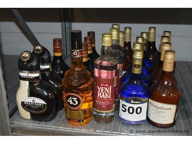27x diverse flessen sterke dranken - afbeelding 1 van  3