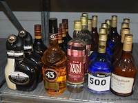 27x diverse flessen sterke dranken - afbeelding 1 van  3