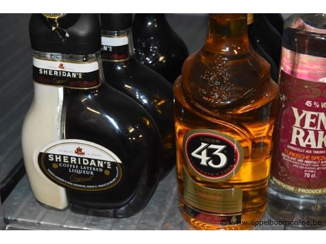 27x diverse flessen sterke dranken - afbeelding 2 van  3