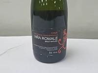 (27x) fles(sen) cava vina romale vinedos de... - afbeelding 2 van  7