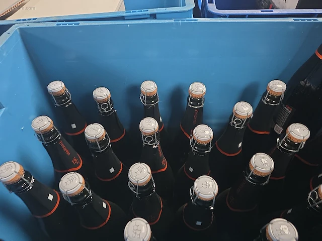 (27x) fles(sen) cava vina romale vinedos de... - afbeelding 7 van  7