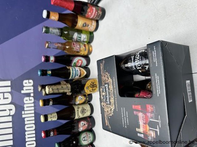 28 div flesjes bier wo leffe, lindemans - afbeelding 3 van  3