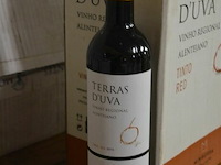 29x 75cl terras d`uva - afbeelding 1 van  3