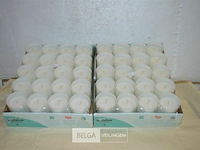 2x 20 kaarsen 64mm ø52mm - afbeelding 1 van  3