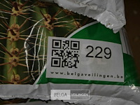 2x 2,5l cactusgrond , 1x5l universele potgrond - afbeelding 4 van  4