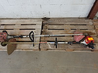 2x bosmaaier maruyama - afbeelding 1 van  6