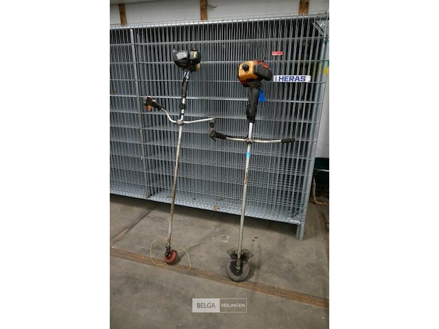 2x bosmaaier - afbeelding 1 van  6