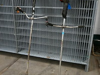 2x bosmaaier - afbeelding 1 van  6