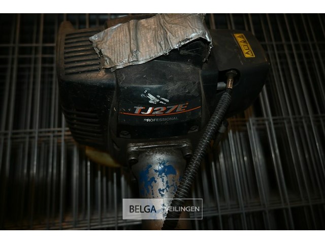 2x bosmaaier - afbeelding 2 van  6