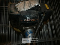 2x bosmaaier - afbeelding 2 van  6