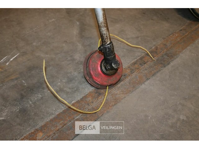 2x bosmaaier - afbeelding 3 van  6