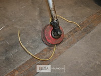 2x bosmaaier - afbeelding 3 van  6