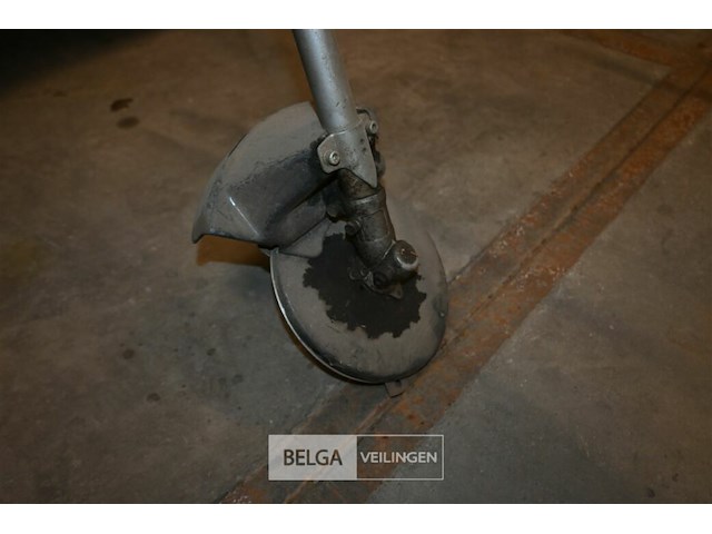 2x bosmaaier - afbeelding 4 van  6
