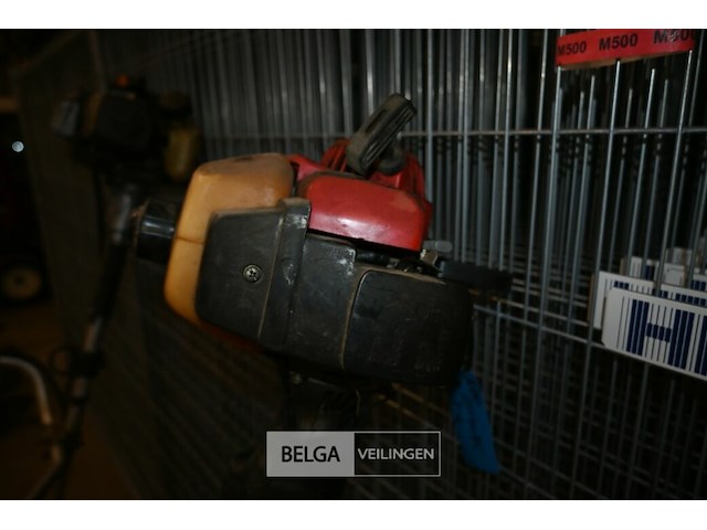 2x bosmaaier - afbeelding 5 van  6