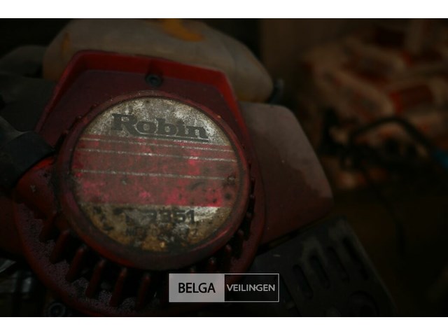 2x bosmaaier - afbeelding 6 van  6