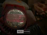 2x bosmaaier - afbeelding 6 van  6