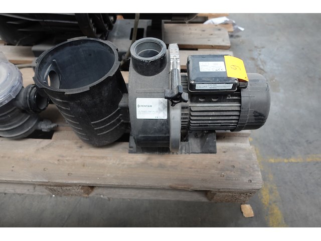 2x circulatiepomp pentair - afbeelding 1 van  7