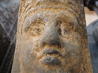 2x civet - afbeelding 2 van  2