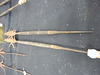 2x congo speren - afbeelding 1 van  2