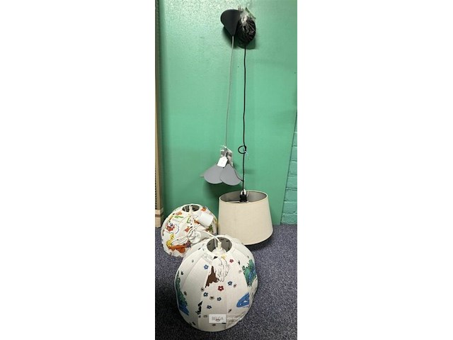 2x luster diverse modellen - afbeelding 1 van  4