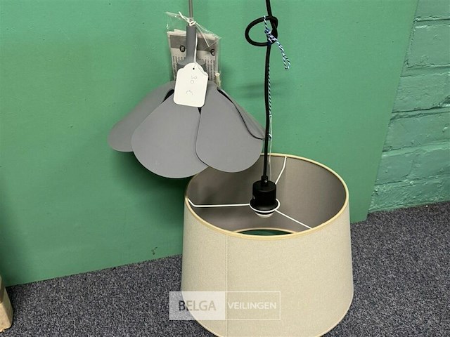 2x luster diverse modellen - afbeelding 4 van  4