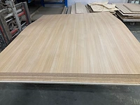 (2x) melamine platen - afbeelding 1 van  4