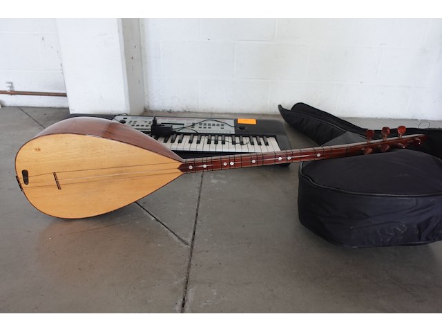 2x muziekinstrument - afbeelding 5 van  7