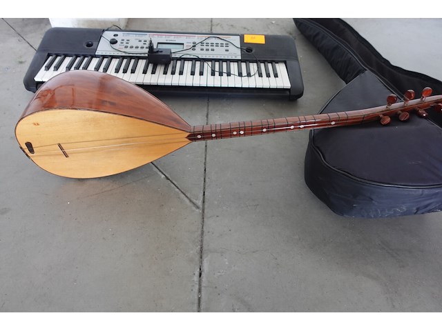 2x muziekinstrument - afbeelding 7 van  7